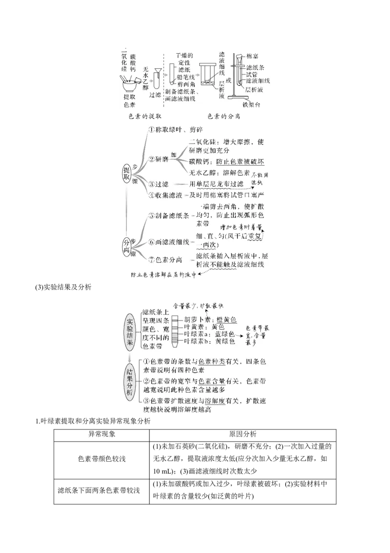 考向06光合作用与能量转换-备战2023年高考生物一轮复习考点微专题（全国通用）（解析版）_通用版（老高考）复习资料_2023年复习资料_一轮复习