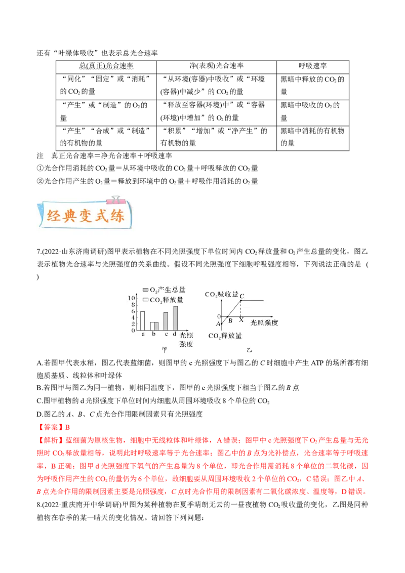 考向06光合作用与能量转换-备战2023年高考生物一轮复习考点微专题（全国通用）（解析版）_通用版（老高考）复习资料_2023年复习资料_一轮复习