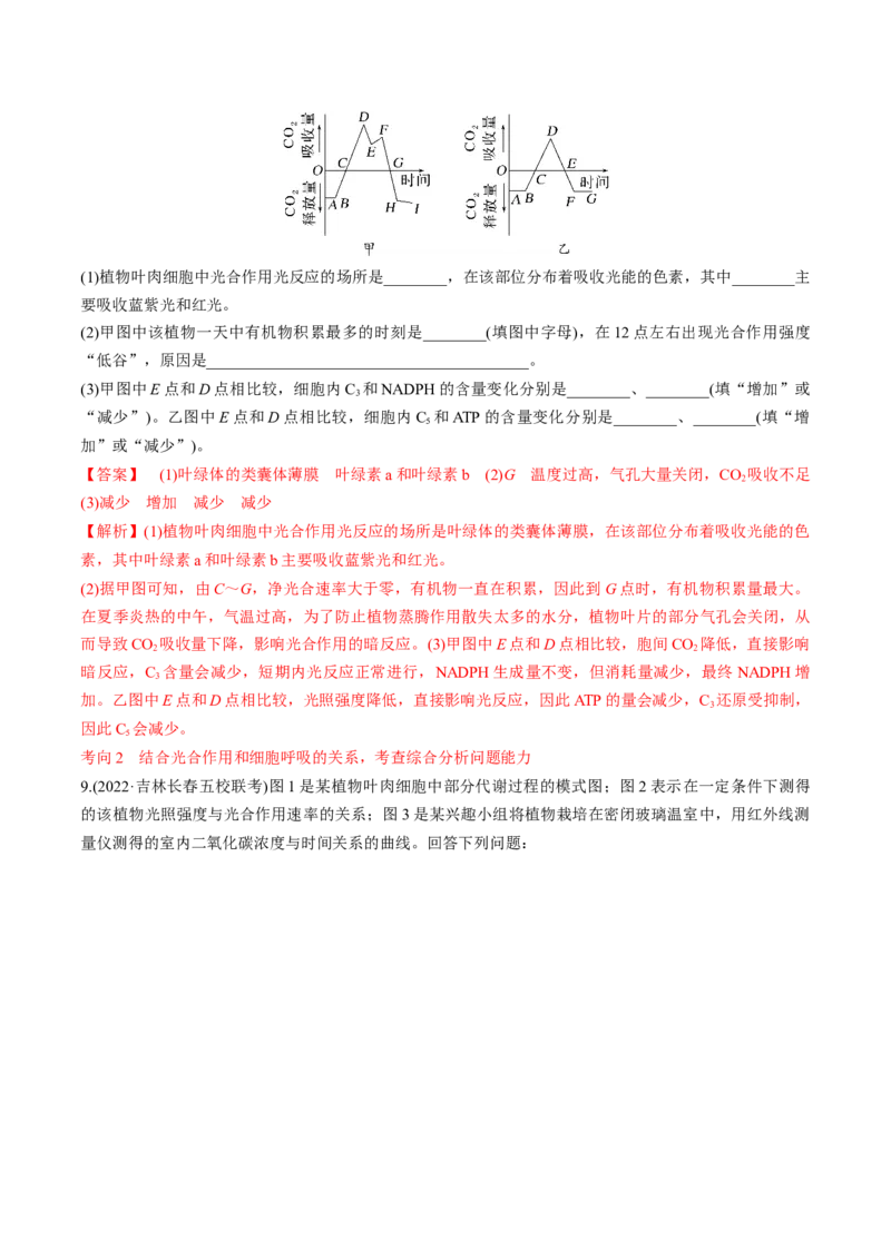 考向06光合作用与能量转换-备战2023年高考生物一轮复习考点微专题（全国通用）（解析版）_通用版（老高考）复习资料_2023年复习资料_一轮复习