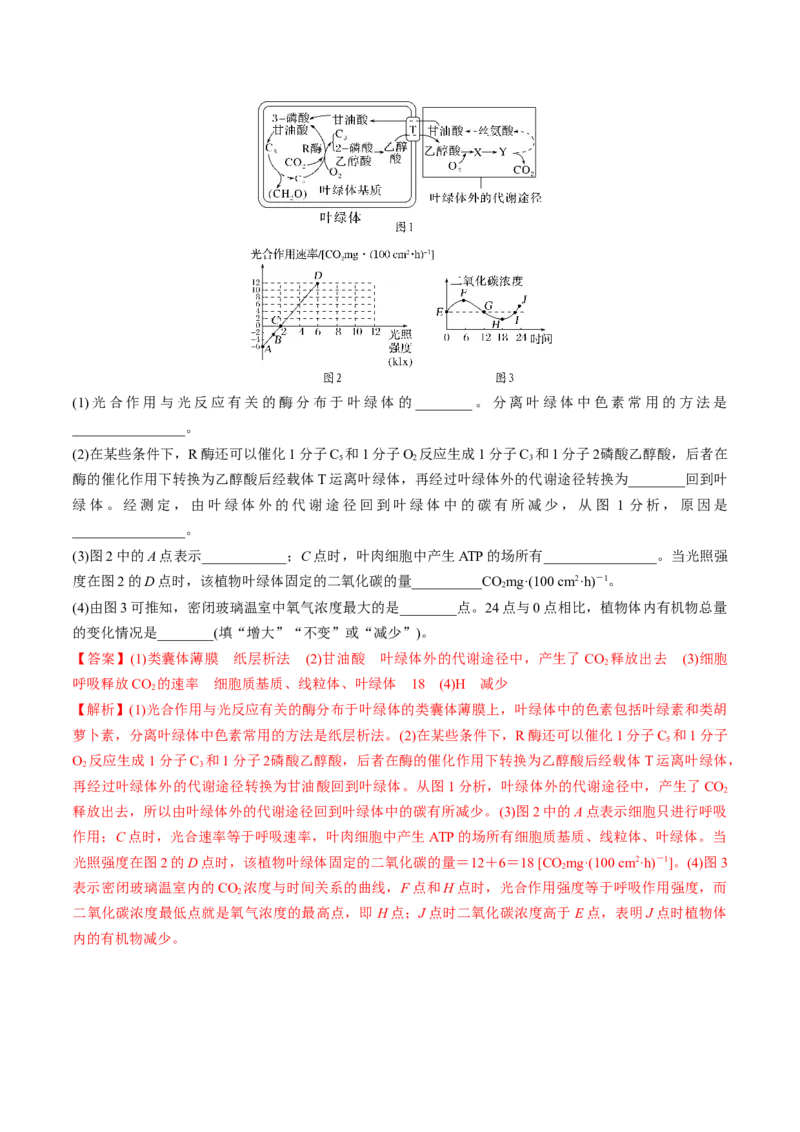 考向06光合作用与能量转换-备战2023年高考生物一轮复习考点微专题（全国通用）（解析版）_通用版（老高考）复习资料_2023年复习资料_一轮复习
