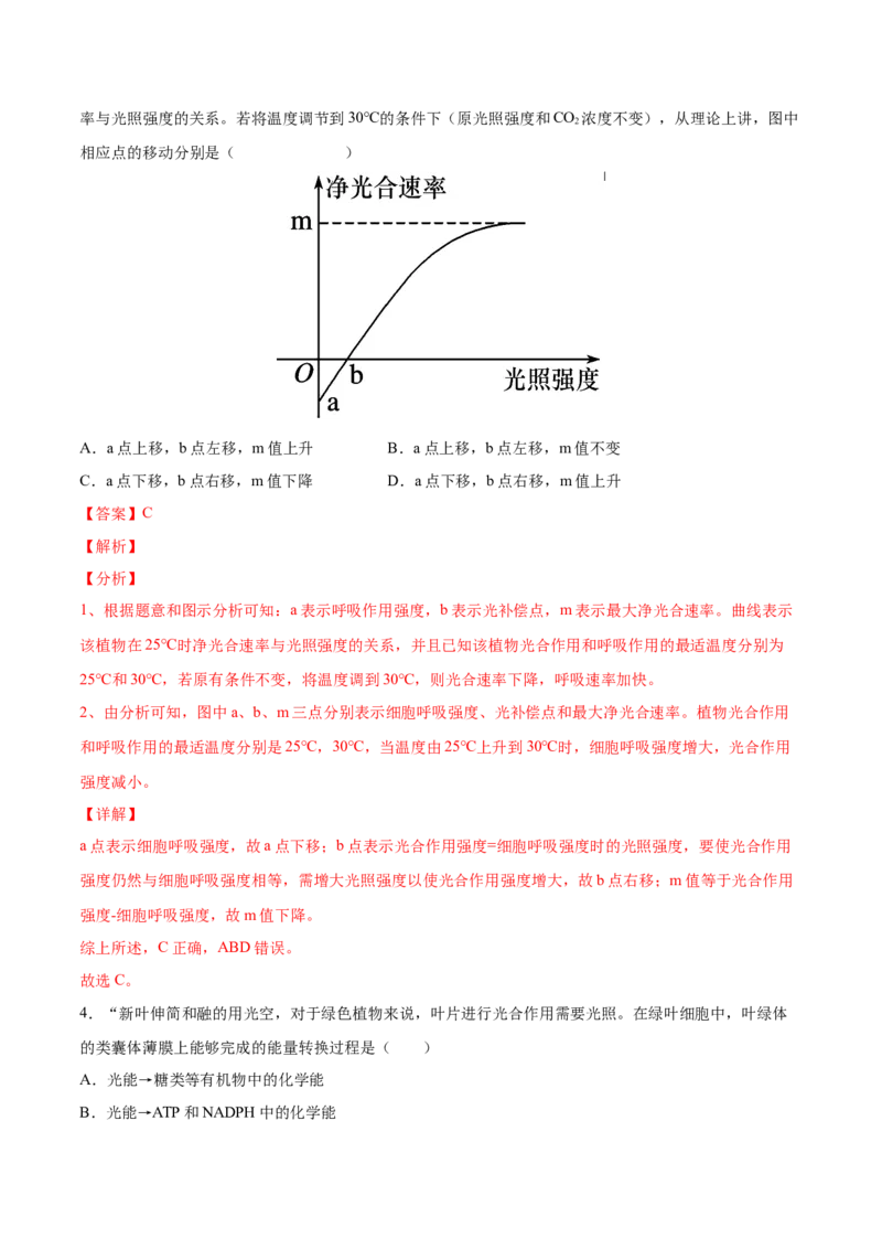 考向06光合作用与能量转换-备战2023年高考生物一轮复习考点微专题（全国通用）（解析版）_通用版（老高考）复习资料_2023年复习资料_一轮复习