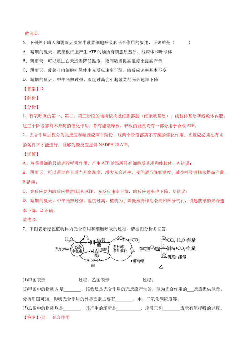 考向06光合作用与能量转换-备战2023年高考生物一轮复习考点微专题（全国通用）（解析版）_通用版（老高考）复习资料_2023年复习资料_一轮复习