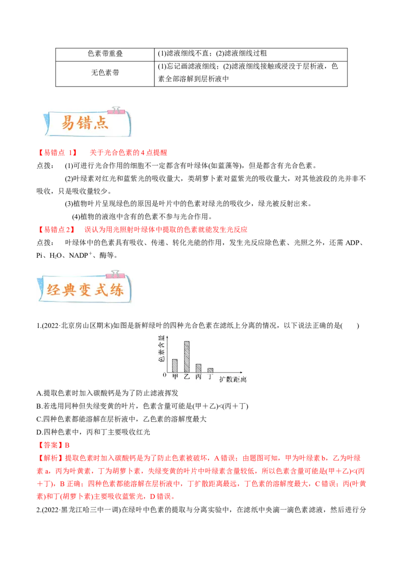 考向06光合作用与能量转换-备战2023年高考生物一轮复习考点微专题（全国通用）（解析版）_通用版（老高考）复习资料_2023年复习资料_一轮复习
