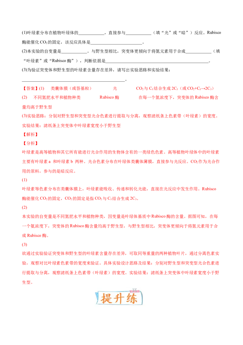 考向06光合作用与能量转换-备战2023年高考生物一轮复习考点微专题（全国通用）（解析版）_通用版（老高考）复习资料_2023年复习资料_一轮复习