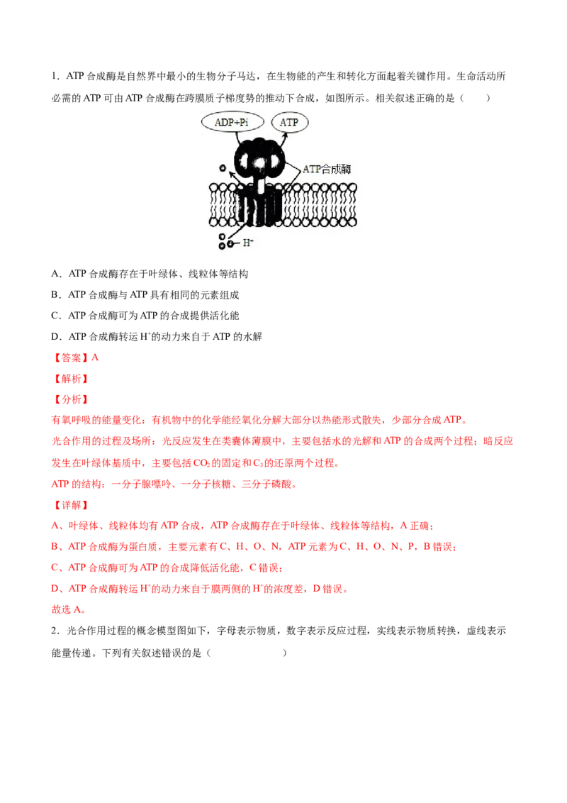 考向06光合作用与能量转换-备战2023年高考生物一轮复习考点微专题（全国通用）（解析版）_通用版（老高考）复习资料_2023年复习资料_一轮复习