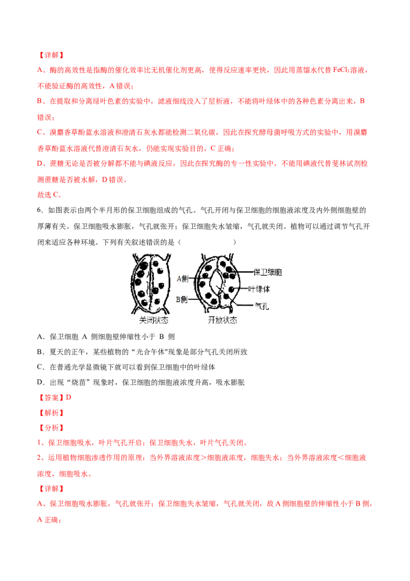 考向06光合作用与能量转换-备战2023年高考生物一轮复习考点微专题（全国通用）（解析版）_通用版（老高考）复习资料_2023年复习资料_一轮复习