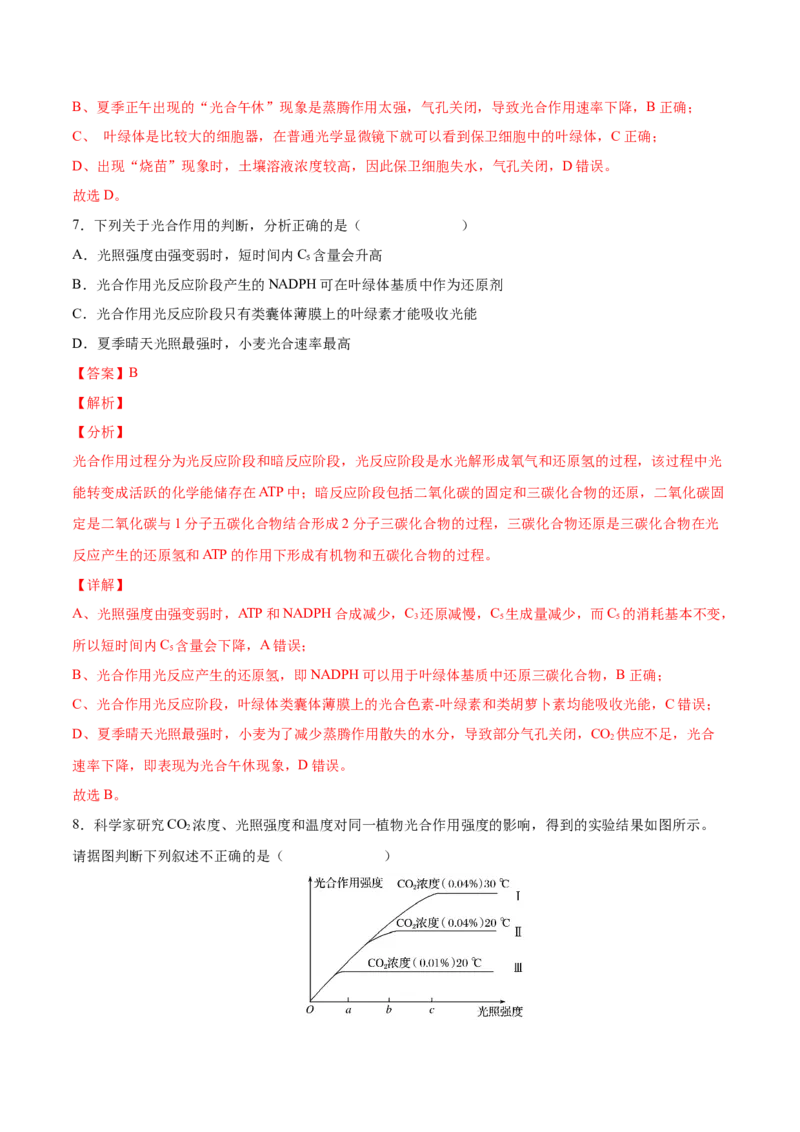 考向06光合作用与能量转换-备战2023年高考生物一轮复习考点微专题（全国通用）（解析版）_通用版（老高考）复习资料_2023年复习资料_一轮复习