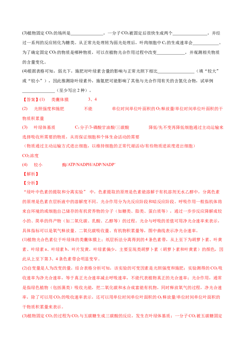 考向06光合作用与能量转换-备战2023年高考生物一轮复习考点微专题（全国通用）（解析版）_通用版（老高考）复习资料_2023年复习资料_一轮复习