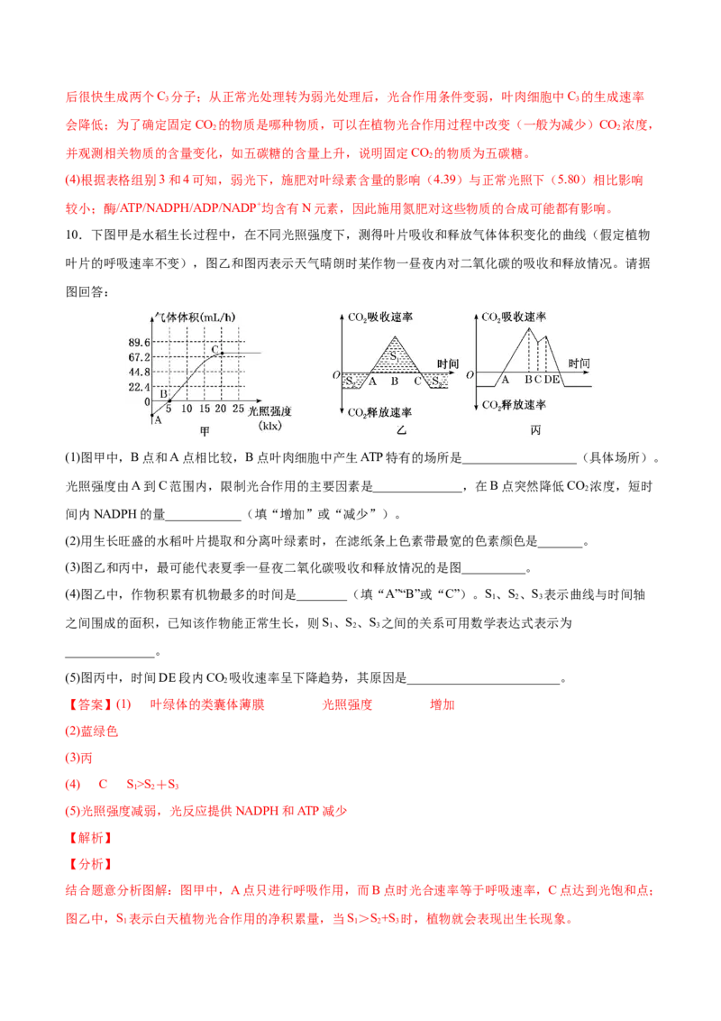 考向06光合作用与能量转换-备战2023年高考生物一轮复习考点微专题（全国通用）（解析版）_通用版（老高考）复习资料_2023年复习资料_一轮复习