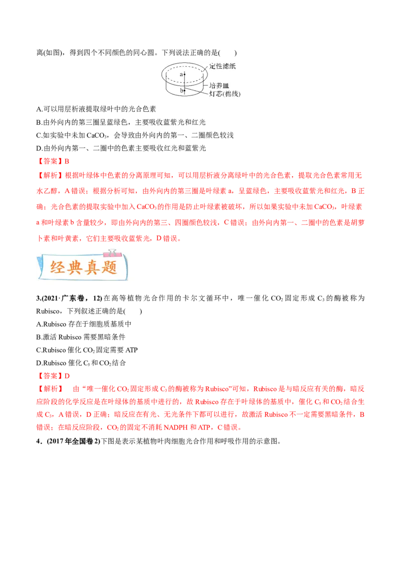 考向06光合作用与能量转换-备战2023年高考生物一轮复习考点微专题（全国通用）（解析版）_通用版（老高考）复习资料_2023年复习资料_一轮复习