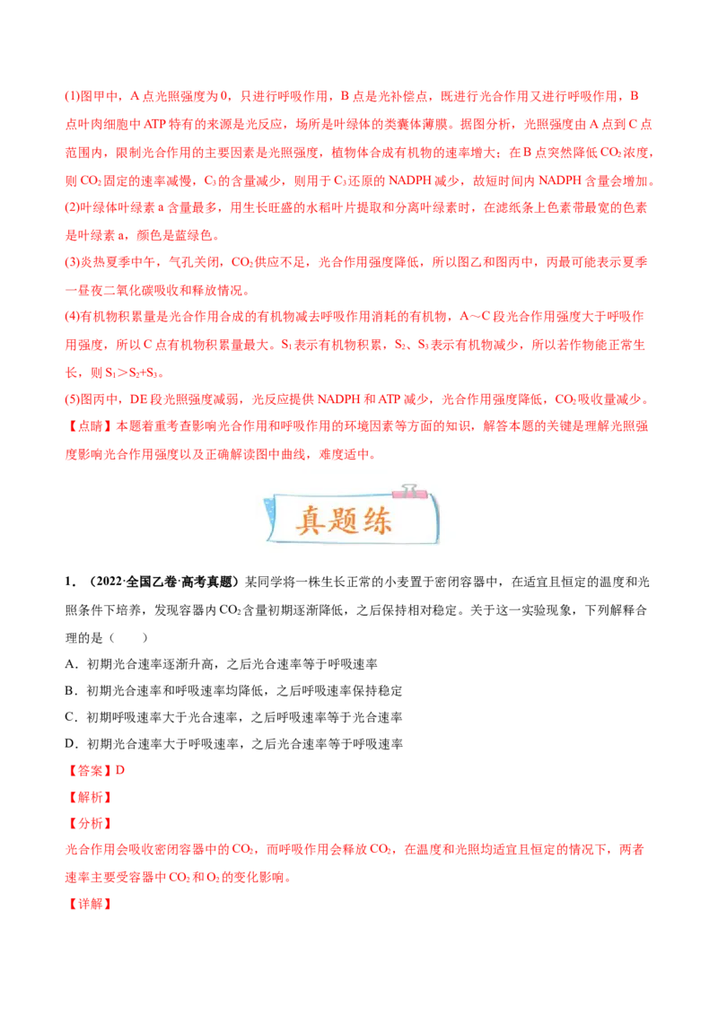 考向06光合作用与能量转换-备战2023年高考生物一轮复习考点微专题（全国通用）（解析版）_通用版（老高考）复习资料_2023年复习资料_一轮复习
