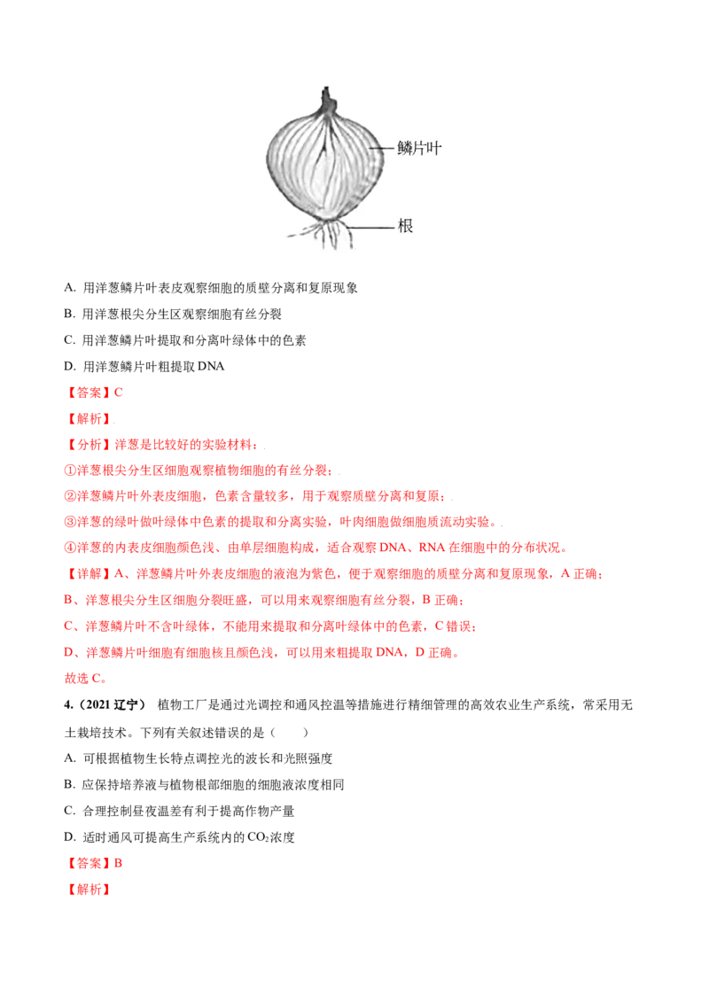 考向06光合作用与能量转换-备战2023年高考生物一轮复习考点微专题（全国通用）（解析版）_通用版（老高考）复习资料_2023年复习资料_一轮复习