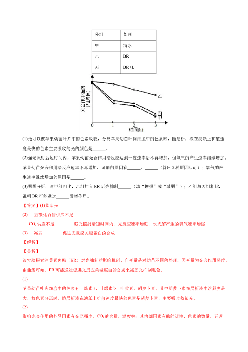考向06光合作用与能量转换-备战2023年高考生物一轮复习考点微专题（全国通用）（解析版）_通用版（老高考）复习资料_2023年复习资料_一轮复习