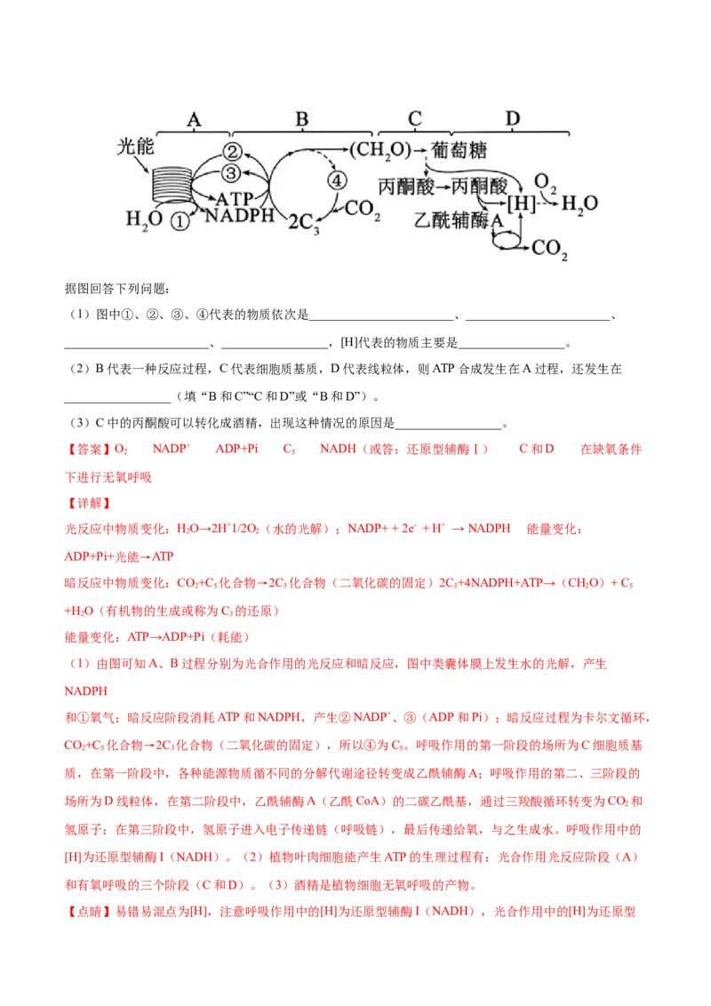考向06光合作用与能量转换-备战2023年高考生物一轮复习考点微专题（全国通用）（解析版）_通用版（老高考）复习资料_2023年复习资料_一轮复习