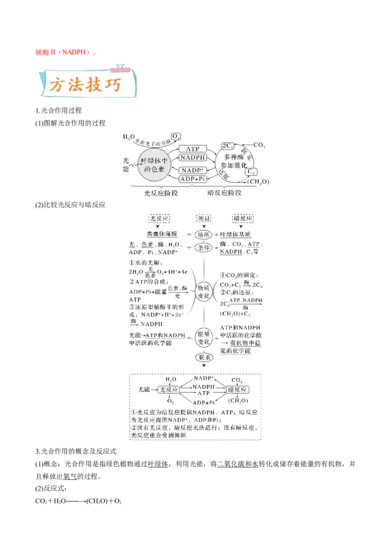 考向06光合作用与能量转换-备战2023年高考生物一轮复习考点微专题（全国通用）（解析版）_通用版（老高考）复习资料_2023年复习资料_一轮复习