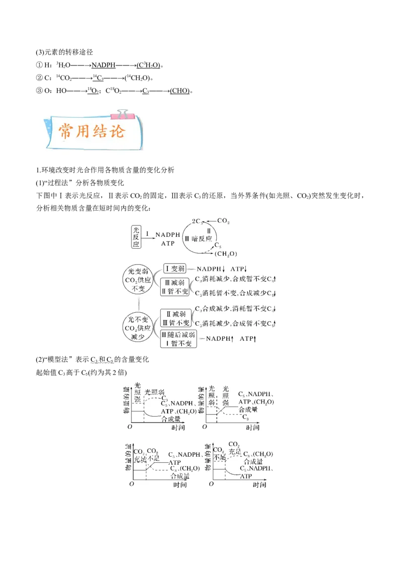 考向06光合作用与能量转换-备战2023年高考生物一轮复习考点微专题（全国通用）（解析版）_通用版（老高考）复习资料_2023年复习资料_一轮复习