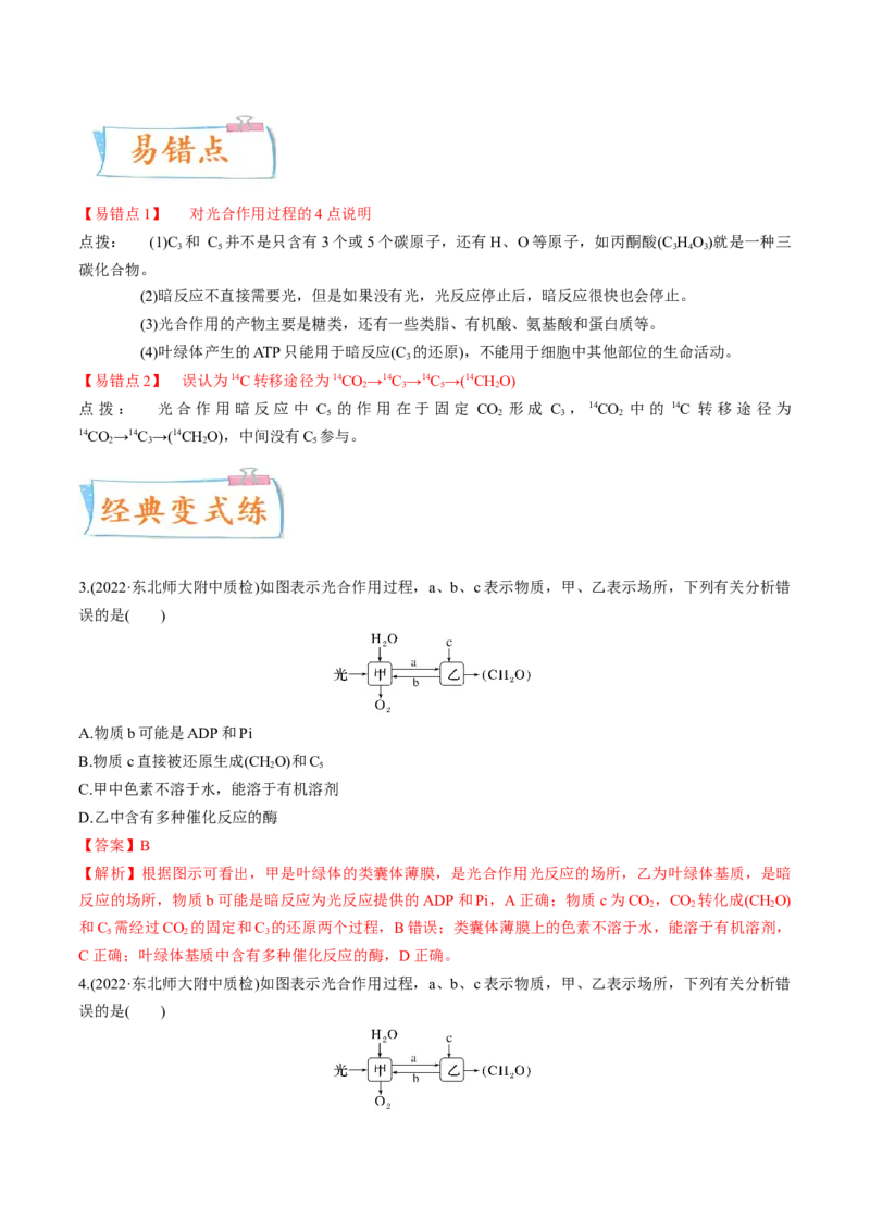 考向06光合作用与能量转换-备战2023年高考生物一轮复习考点微专题（全国通用）（解析版）_通用版（老高考）复习资料_2023年复习资料_一轮复习
