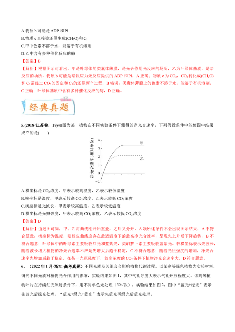 考向06光合作用与能量转换-备战2023年高考生物一轮复习考点微专题（全国通用）（解析版）_通用版（老高考）复习资料_2023年复习资料_一轮复习