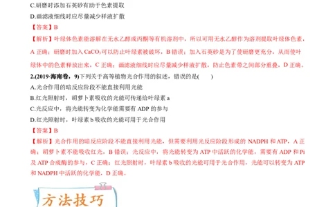 考向06光合作用与能量转换-备战2023年高考生物一轮复习考点微专题（全国通用）（解析版）_通用版（老高考）复习资料_2023年复习资料_一轮复习