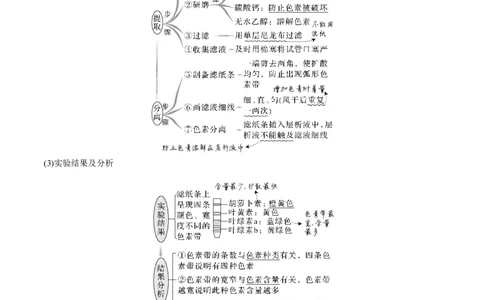考向06光合作用与能量转换-备战2023年高考生物一轮复习考点微专题（全国通用）（解析版）_通用版（老高考）复习资料_2023年复习资料_一轮复习