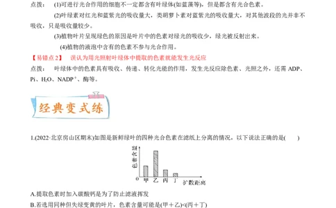 考向06光合作用与能量转换-备战2023年高考生物一轮复习考点微专题（全国通用）（解析版）_通用版（老高考）复习资料_2023年复习资料_一轮复习