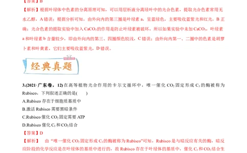 考向06光合作用与能量转换-备战2023年高考生物一轮复习考点微专题（全国通用）（解析版）_通用版（老高考）复习资料_2023年复习资料_一轮复习