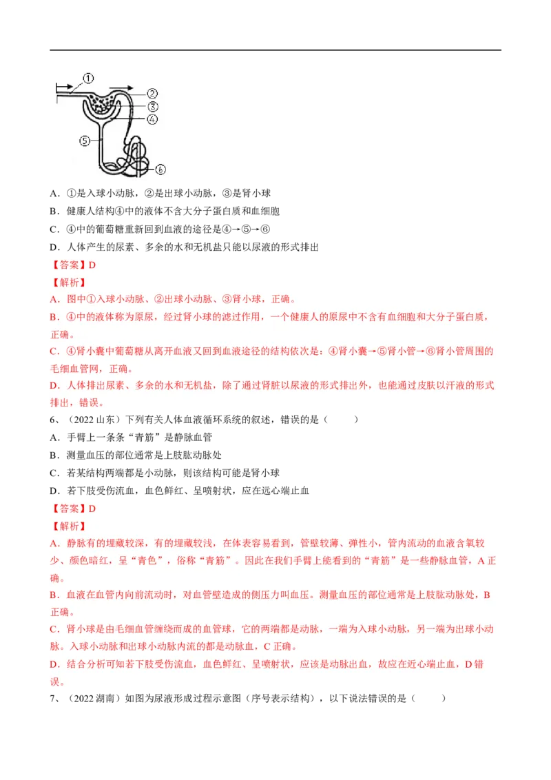 专题13人体内废物的排出（解析版）_6生物中考复习_2023年中考复习资料_一轮复习_2023年中考生物一轮复习讲练测_专题13人体内废物的排出（专题精练）-2023年中考生物一轮复习讲练测