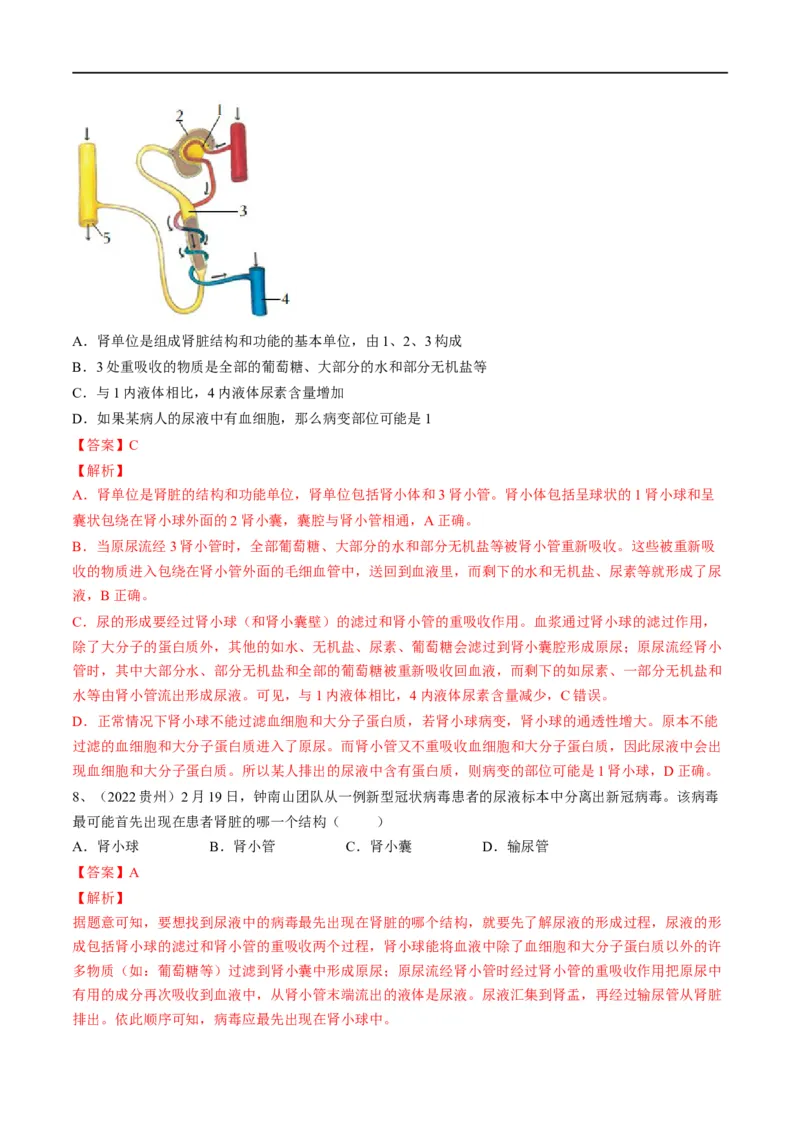 专题13人体内废物的排出（解析版）_6生物中考复习_2023年中考复习资料_一轮复习_2023年中考生物一轮复习讲练测_专题13人体内废物的排出（专题精练）-2023年中考生物一轮复习讲练测