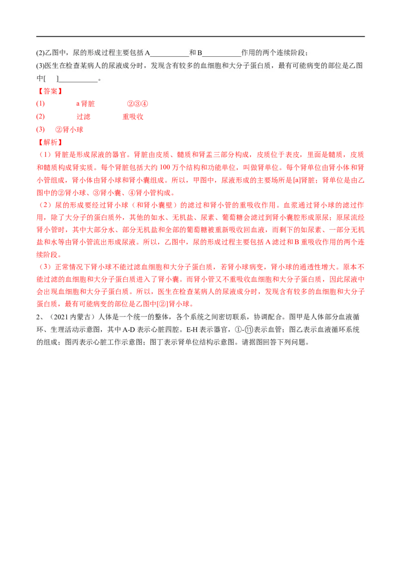 专题13人体内废物的排出（解析版）_6生物中考复习_2023年中考复习资料_一轮复习_2023年中考生物一轮复习讲练测_专题13人体内废物的排出（专题精练）-2023年中考生物一轮复习讲练测