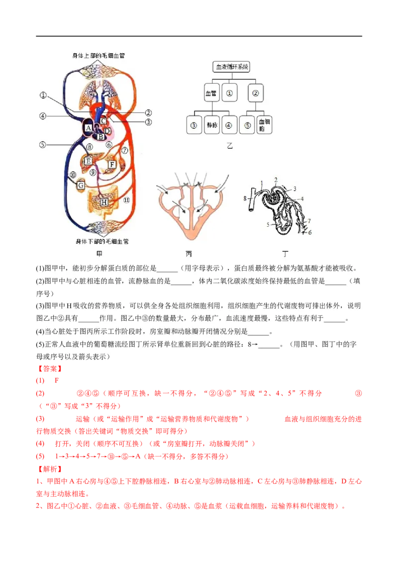 专题13人体内废物的排出（解析版）_6生物中考复习_2023年中考复习资料_一轮复习_2023年中考生物一轮复习讲练测_专题13人体内废物的排出（专题精练）-2023年中考生物一轮复习讲练测