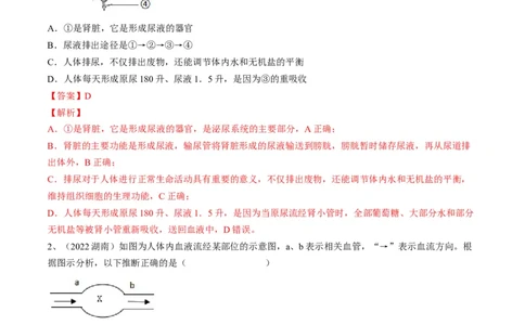 专题13人体内废物的排出（解析版）_6生物中考复习_2023年中考复习资料_一轮复习_2023年中考生物一轮复习讲练测_专题13人体内废物的排出（专题精练）-2023年中考生物一轮复习讲练测