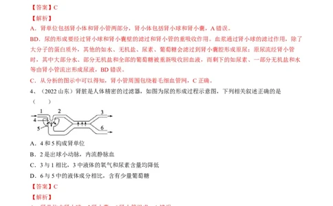 专题13人体内废物的排出（解析版）_6生物中考复习_2023年中考复习资料_一轮复习_2023年中考生物一轮复习讲练测_专题13人体内废物的排出（专题精练）-2023年中考生物一轮复习讲练测