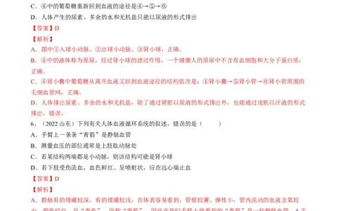 专题13人体内废物的排出（解析版）_6生物中考复习_2023年中考复习资料_一轮复习_2023年中考生物一轮复习讲练测_专题13人体内废物的排出（专题精练）-2023年中考生物一轮复习讲练测