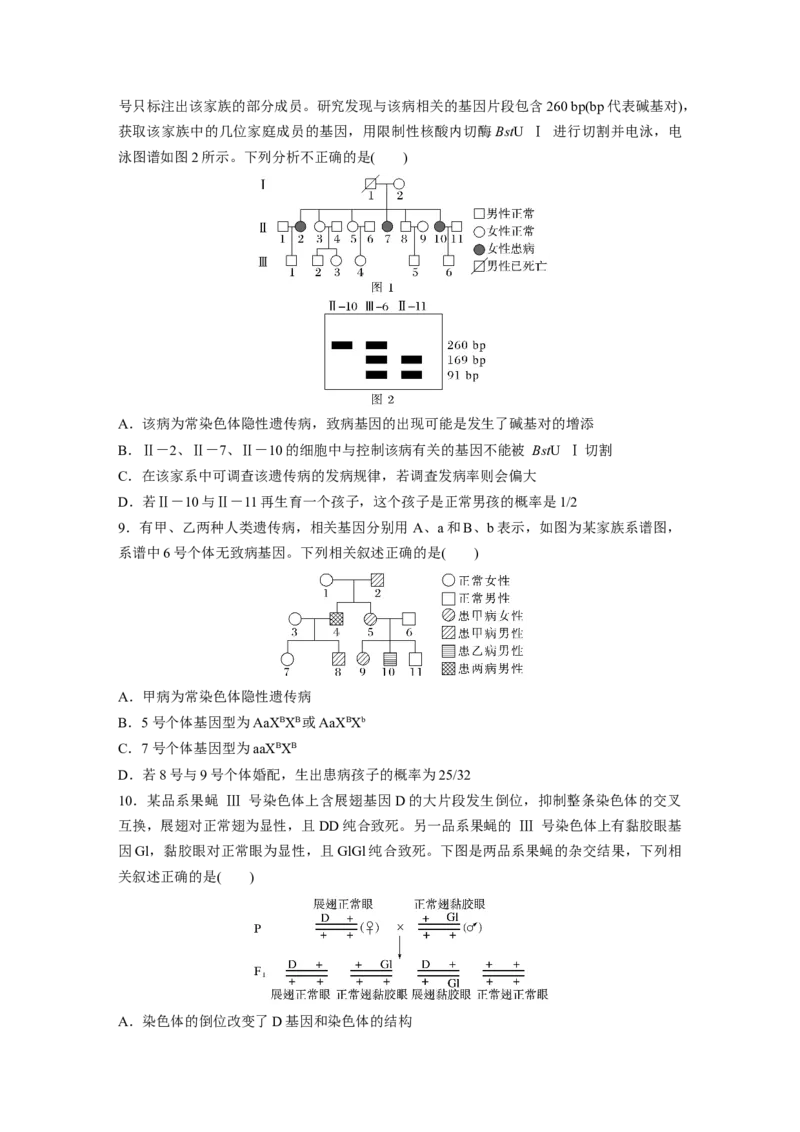 考前特训　专项二(四)遗传的基本规律与伴性遗传_通用版（老高考）复习资料_2023年复习资料_二轮复习_2023年高考生物二轮复习讲义+课件（全国版）_2023年高考生物二轮复习讲义（全国版）