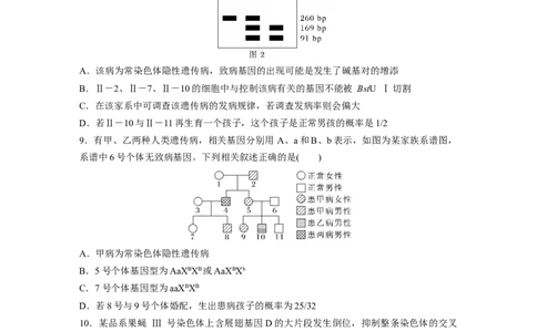 考前特训　专项二(四)遗传的基本规律与伴性遗传_通用版（老高考）复习资料_2023年复习资料_二轮复习_2023年高考生物二轮复习讲义+课件（全国版）_2023年高考生物二轮复习讲义（全国版）