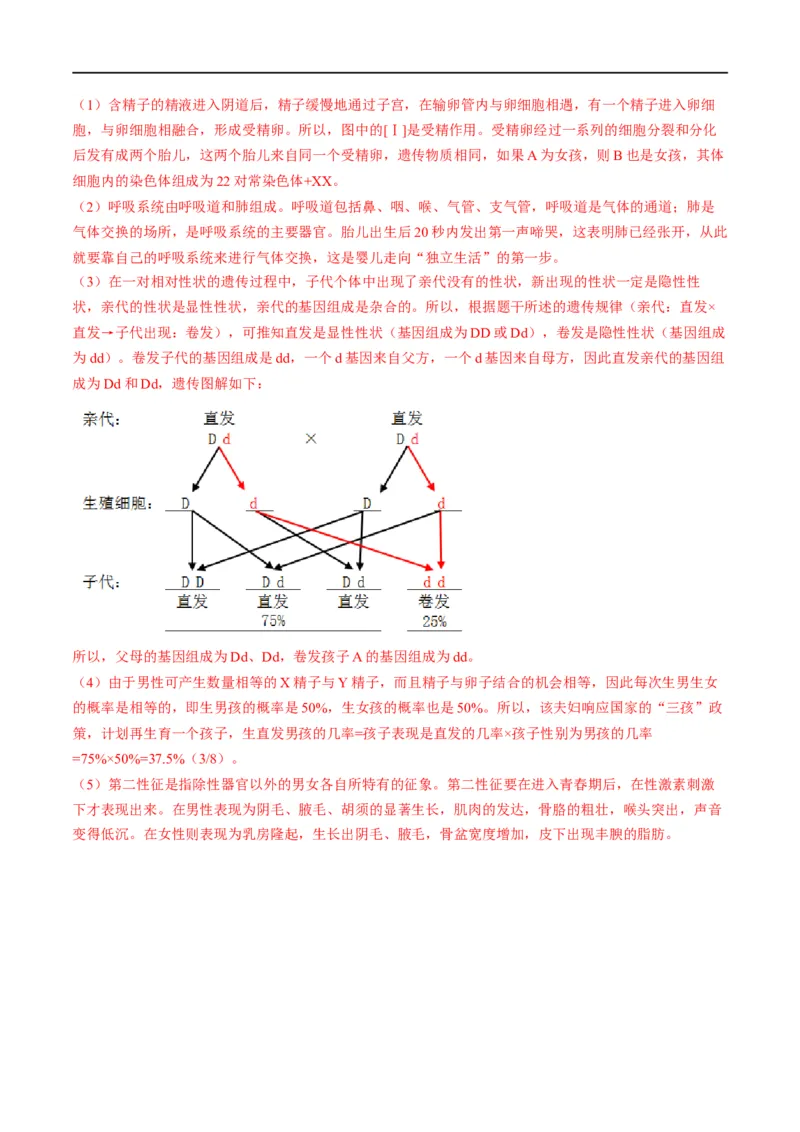 专题09人的由来（解析版）_6生物中考复习_2023年中考复习资料_一轮复习_2023年中考生物一轮复习讲练测_专题09人的由来（专题精练）-2023年中考生物一轮复习讲练测