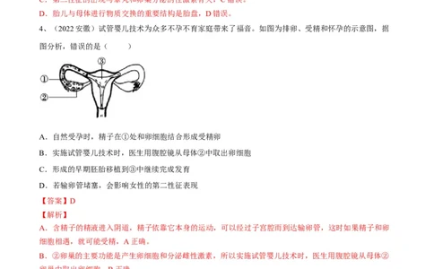 专题09人的由来（解析版）_6生物中考复习_2023年中考复习资料_一轮复习_2023年中考生物一轮复习讲练测_专题09人的由来（专题精练）-2023年中考生物一轮复习讲练测