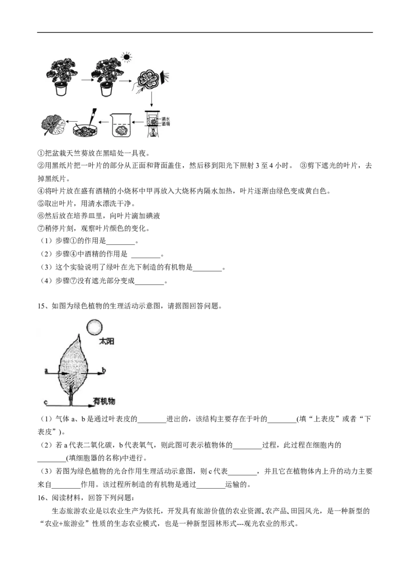 专题08光合作用和呼吸作用-2022年中考生物一轮复习抓重点考典型（人教版）（原卷版）_6生物中考复习_2023年中考复习资料_一轮复习_2022年中考生物一轮复习抓重点考典型（人教版）