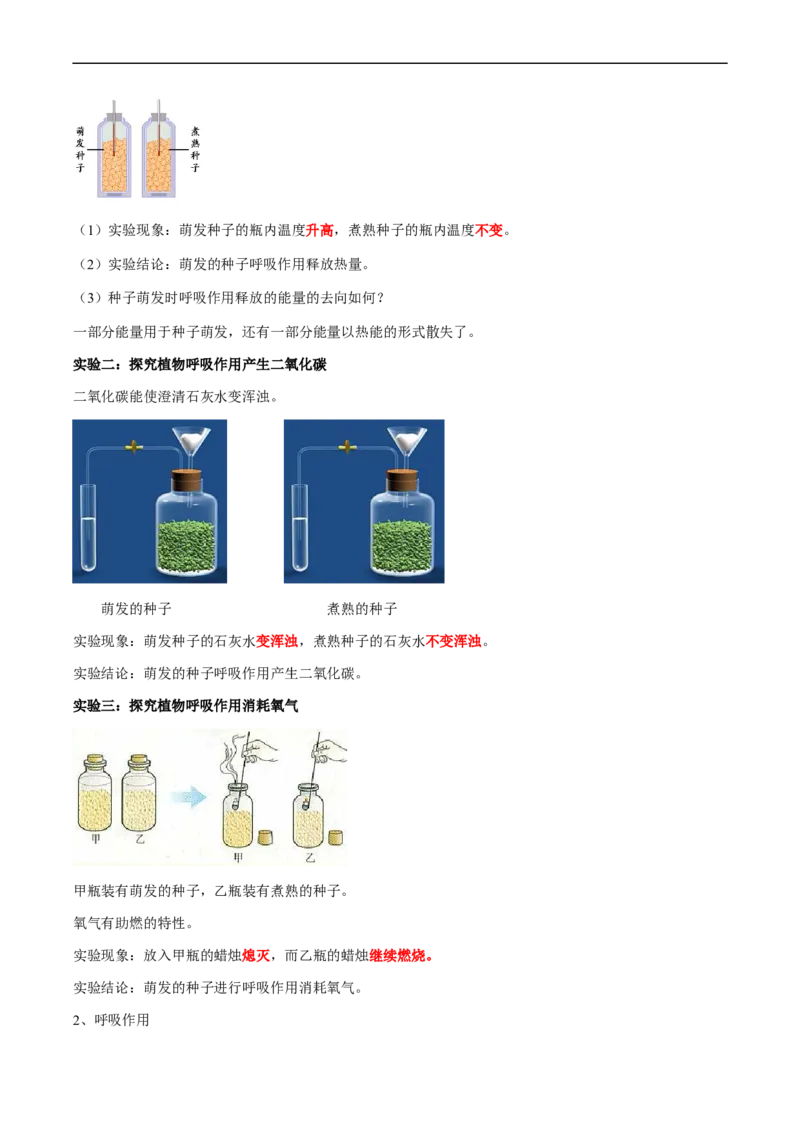 专题08光合作用和呼吸作用-2022年中考生物一轮复习抓重点考典型（人教版）（原卷版）_6生物中考复习_2023年中考复习资料_一轮复习_2022年中考生物一轮复习抓重点考典型（人教版）