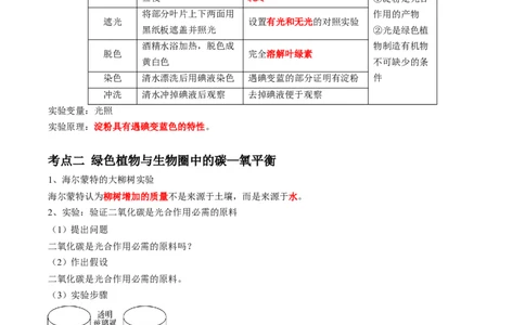 专题08光合作用和呼吸作用-2022年中考生物一轮复习抓重点考典型（人教版）（原卷版）_6生物中考复习_2023年中考复习资料_一轮复习_2022年中考生物一轮复习抓重点考典型（人教版）