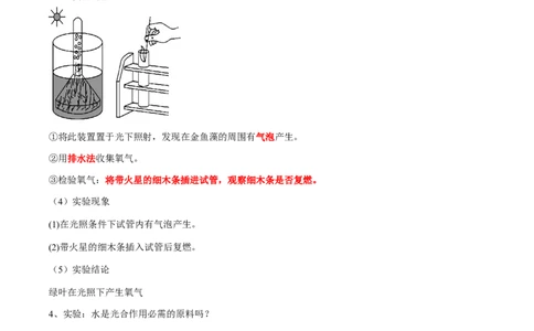 专题08光合作用和呼吸作用-2022年中考生物一轮复习抓重点考典型（人教版）（原卷版）_6生物中考复习_2023年中考复习资料_一轮复习_2022年中考生物一轮复习抓重点考典型（人教版）