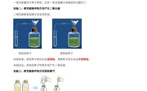 专题08光合作用和呼吸作用-2022年中考生物一轮复习抓重点考典型（人教版）（原卷版）_6生物中考复习_2023年中考复习资料_一轮复习_2022年中考生物一轮复习抓重点考典型（人教版）
