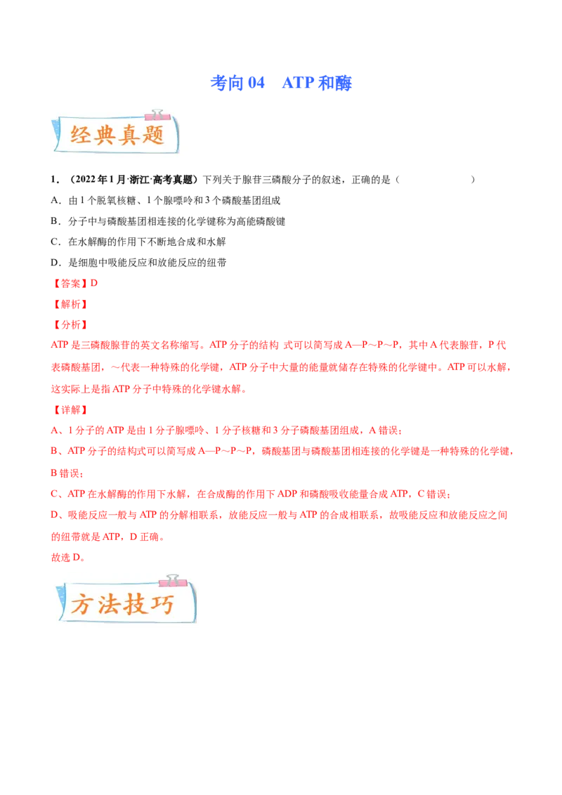 考向04ATP和酶-备战2023年高考生物一轮复习考点微专题（全国通用）（解析版）(1)_通用版（老高考）复习资料_2023年复习资料_一轮复习_备战2023年高考生物一轮复习考点微专题（全国通用）