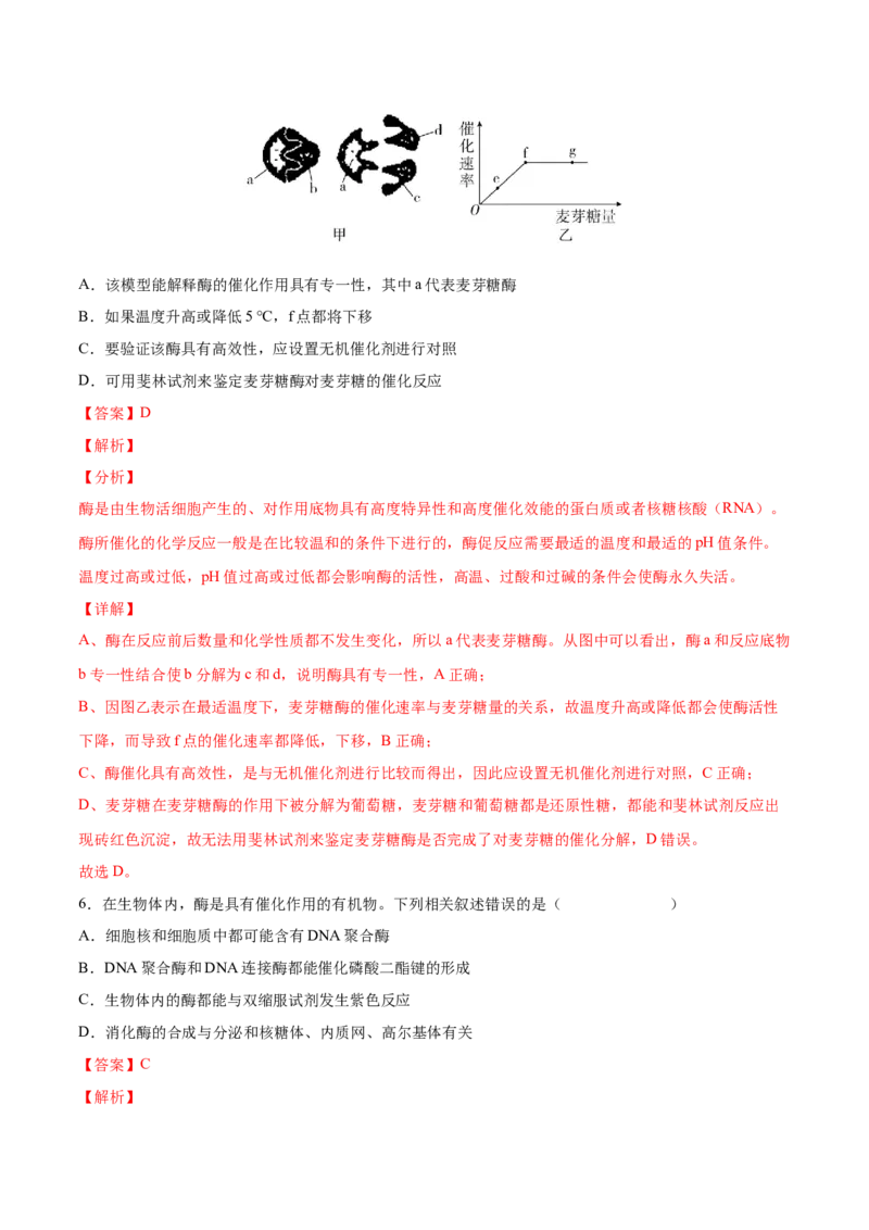 考向04ATP和酶-备战2023年高考生物一轮复习考点微专题（全国通用）（解析版）(1)_通用版（老高考）复习资料_2023年复习资料_一轮复习_备战2023年高考生物一轮复习考点微专题（全国通用）