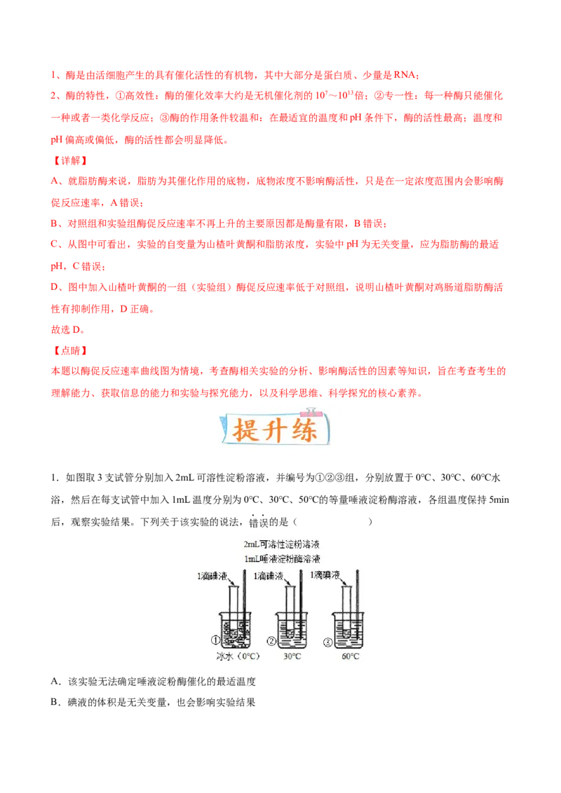 考向04ATP和酶-备战2023年高考生物一轮复习考点微专题（全国通用）（解析版）(1)_通用版（老高考）复习资料_2023年复习资料_一轮复习_备战2023年高考生物一轮复习考点微专题（全国通用）