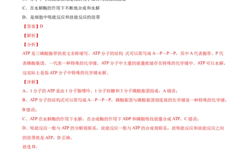 考向04ATP和酶-备战2023年高考生物一轮复习考点微专题（全国通用）（解析版）(1)_通用版（老高考）复习资料_2023年复习资料_一轮复习_备战2023年高考生物一轮复习考点微专题（全国通用）