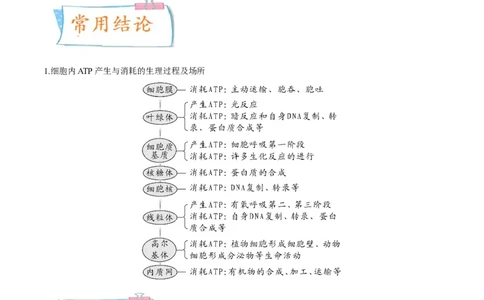 考向04ATP和酶-备战2023年高考生物一轮复习考点微专题（全国通用）（解析版）(1)_通用版（老高考）复习资料_2023年复习资料_一轮复习_备战2023年高考生物一轮复习考点微专题（全国通用）