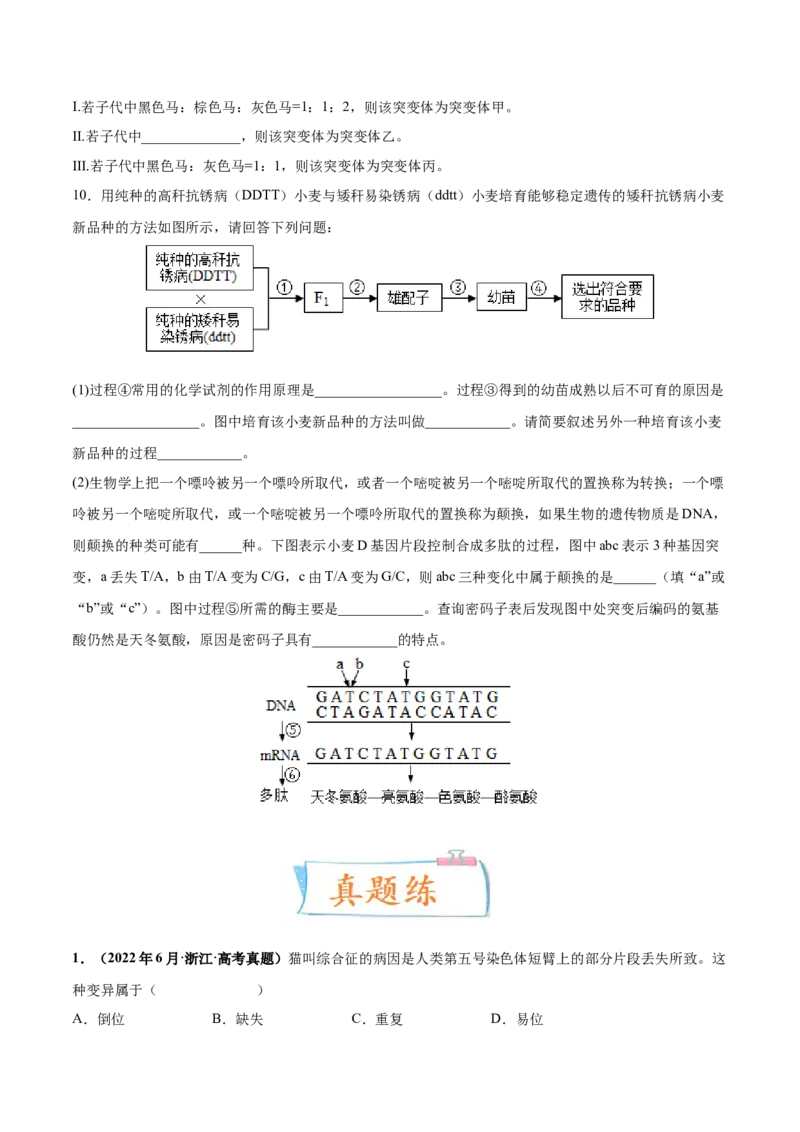 考向14基因突变及其他变异-备战2023年高考生物一轮复习考点微专题（全国通用）（原卷版）_通用版（老高考）复习资料_2023年复习资料_一轮复习
