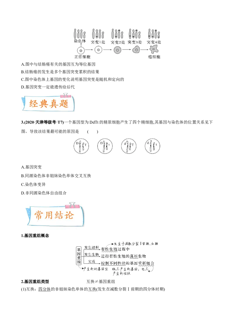考向14基因突变及其他变异-备战2023年高考生物一轮复习考点微专题（全国通用）（原卷版）_通用版（老高考）复习资料_2023年复习资料_一轮复习