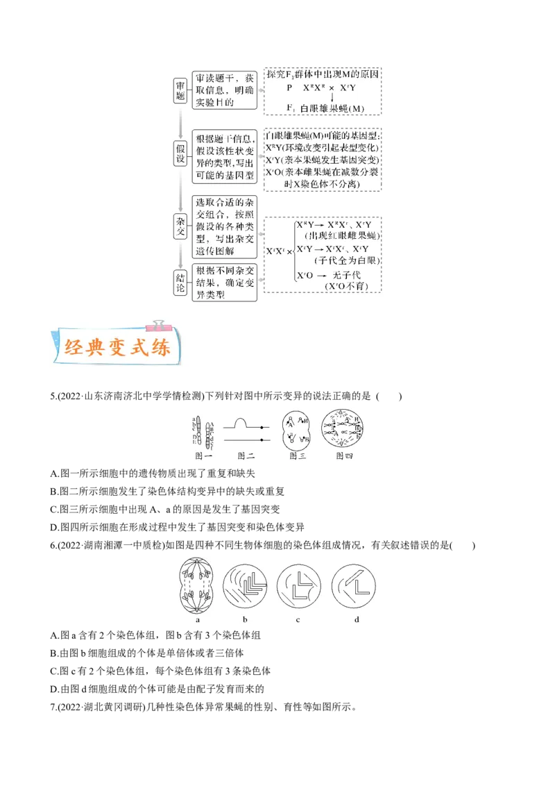 考向14基因突变及其他变异-备战2023年高考生物一轮复习考点微专题（全国通用）（原卷版）_通用版（老高考）复习资料_2023年复习资料_一轮复习